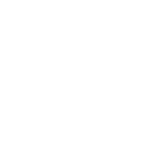 the ostrich cape town